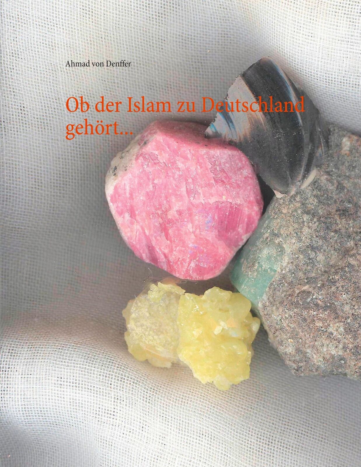 Thumbnail - Ob Der Islam Zu Deutschland Gehört... | Buch | 9783752610468