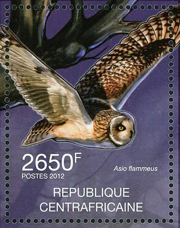 Sello de búhos aves Asio Flammeus Asio Otus Strix Varia S/S MNH #3632-3635 Foto 2 de 4