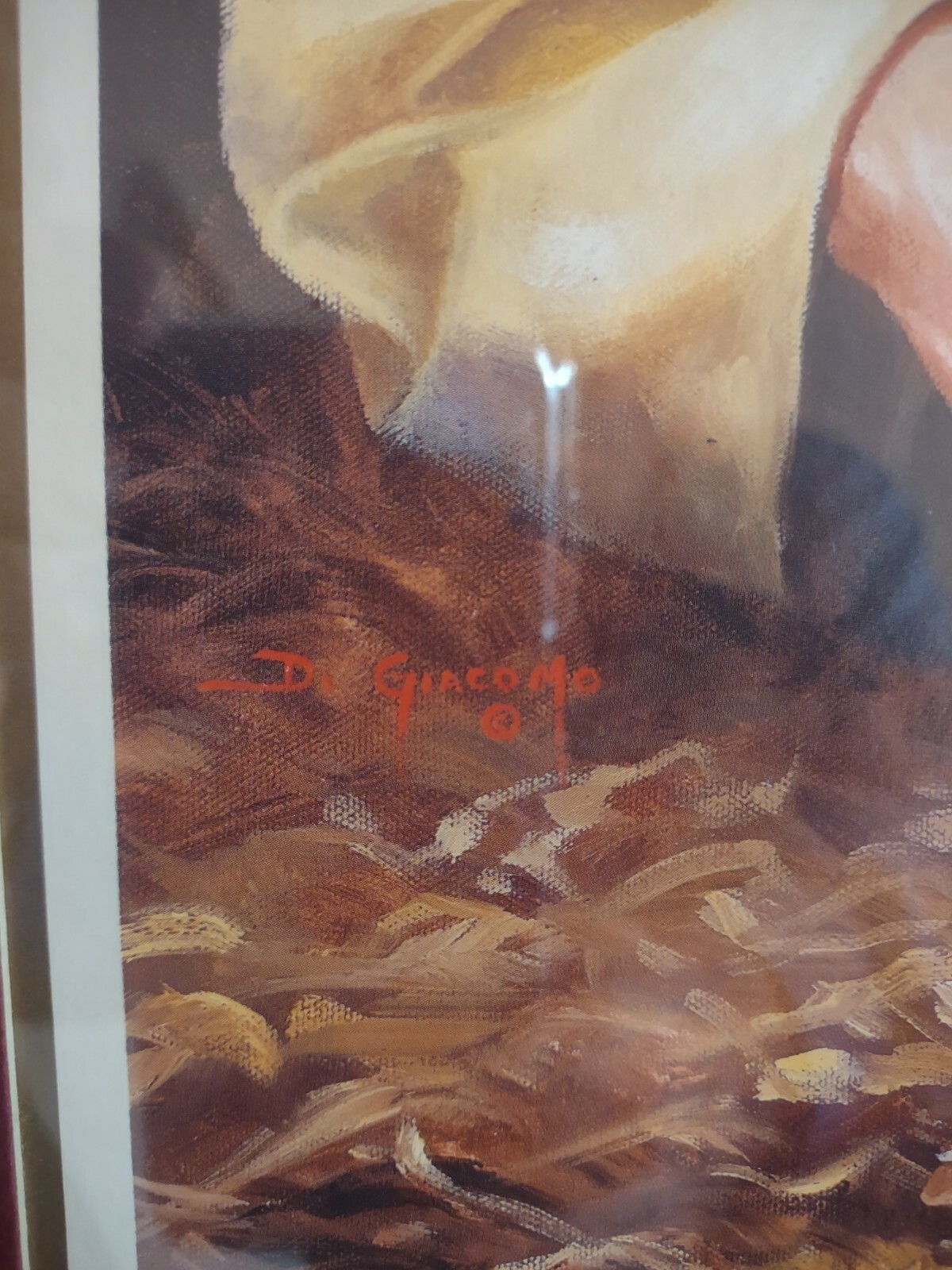 Picture 8 of 8