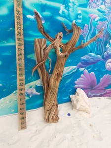 aquascape manzanita aquarium