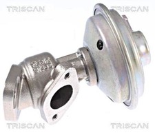 TRISCAN AGR Ventil Für AUDI A4 Avant A5 A6 VW Phaeton Touareg 03-16 059131503H