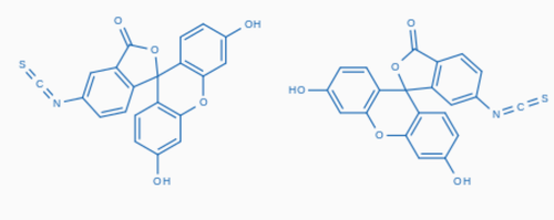 Fluoresceinisothiocyanat, 96% (Isomerengemisch) | 27072-45-3 | 250 mg | - Bild 2 von 3