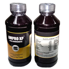 Ampro XP Super Energy Pre-Entrenamiento Power House. (120 ml, 1 botella)