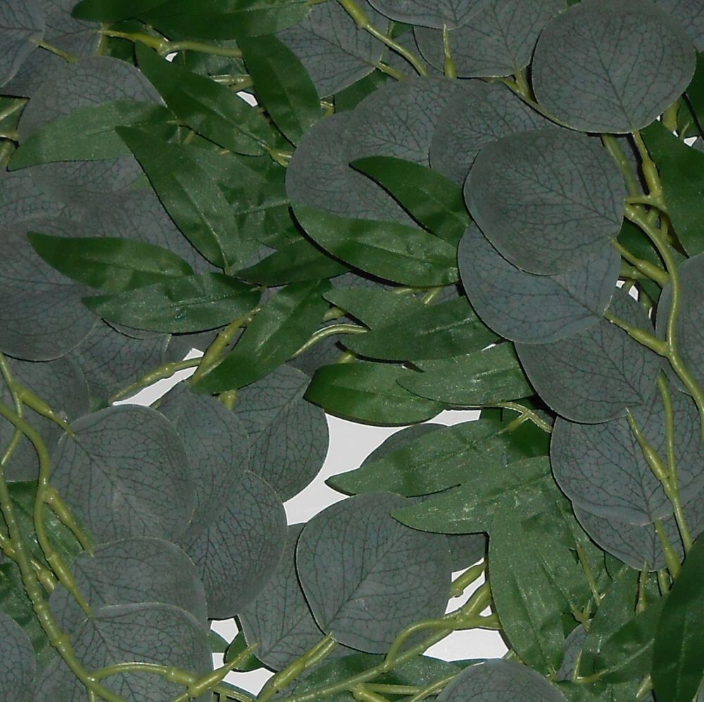 Foto 2 di 3