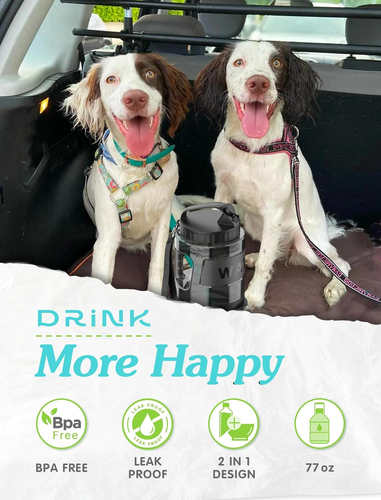 77 Unzen Hund Reise Tragbar Große Wasserspender Flasche mit Ausziehbarem Wassernapf  - Bild 6 von 11