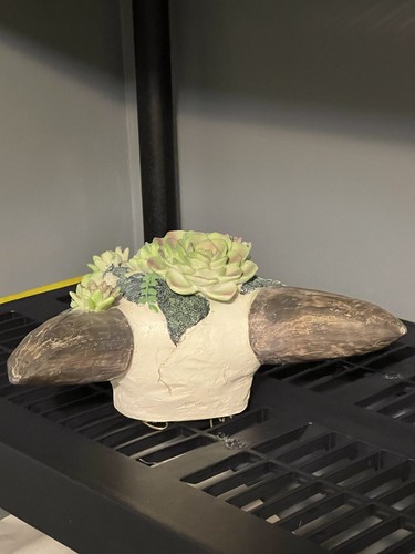 TESCHIO DI MANZO LONGHORN CORNO LUCIDO MONTATO TORO TESTA DI MUCCA decorazione fiori - Foto 10 di 12