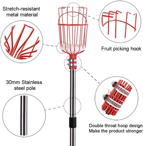 Apple Picker with Telescopic Handle 2.0M, Fruit Picker with Telescopic Stainless - Picture 2 of 9