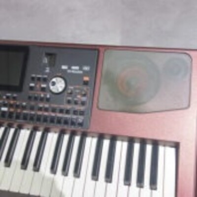 Korg PA1000 61-Key Pro Arranger Keyboard Workstation w