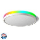 TALOYA Alexa Ceiling Light Smart, WiFi, Compatible with Google, 15.8 Inch Mod