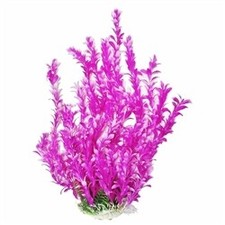 Aquatop Plant Bacopa Pink/White 20"