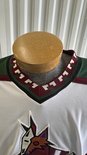 Vintage Phoenix Coyotes Kachina Jersey Starter 90s NHL Hockey  Size XL - Picture 3 of 11