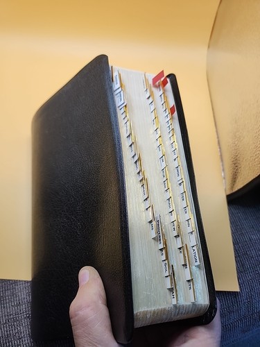 Zondervan Study Bible nouvelle version internationale NIV étude cuir collé 🔥onglet - Photo 2/13