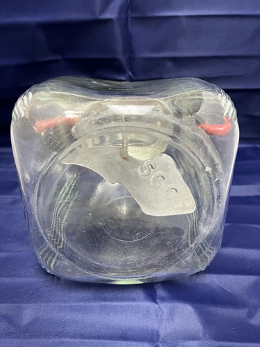 Butter Churn Glass 8qt SCC w/metal Paddle Pouring Spout w/holes Antique - Picture 9 of 10