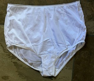 Vanity Fair Women/'s 15712 Ravissant Tailored Nylon Brief Panty Soft Blue 7//L