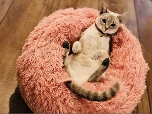 round plush cat bed