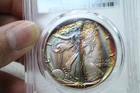 1987 American Silver Eagle PCGS MS66 Monster Toned #7205