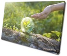 Leaf Water Ecology Surrealism Fantasy SINGLE CANVAS WALL ART Picture Print