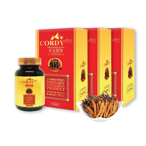 3X 30 Capsules CORDY PLUS Tibetan Cordyceps Sinensis 350mg Q10 Zinc Vitamin B6 C - Picture 10 of 10