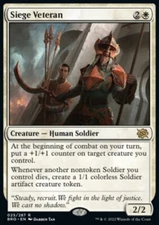 MTG Magic the Gathering Siege Veteran (25/416) The Brothers' War LP