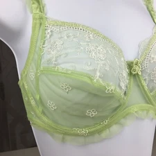 ALEGRO Sheer with Lace Underwire Sexy Lingerie Bra - Lime  9003 - NWT 30-40