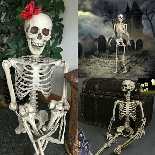 Oversized Poseable Full Life Size Human Skeleton Halloween Decoration Party Prop - Picture 2 of 11