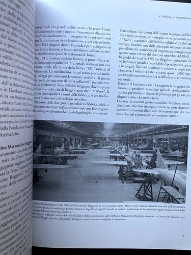 Giorgio Casamatti, Reggio Emilia com'era, Volume secondo, MUP, 2010 - Foto 4 di 11