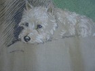 Bild 4 von 9