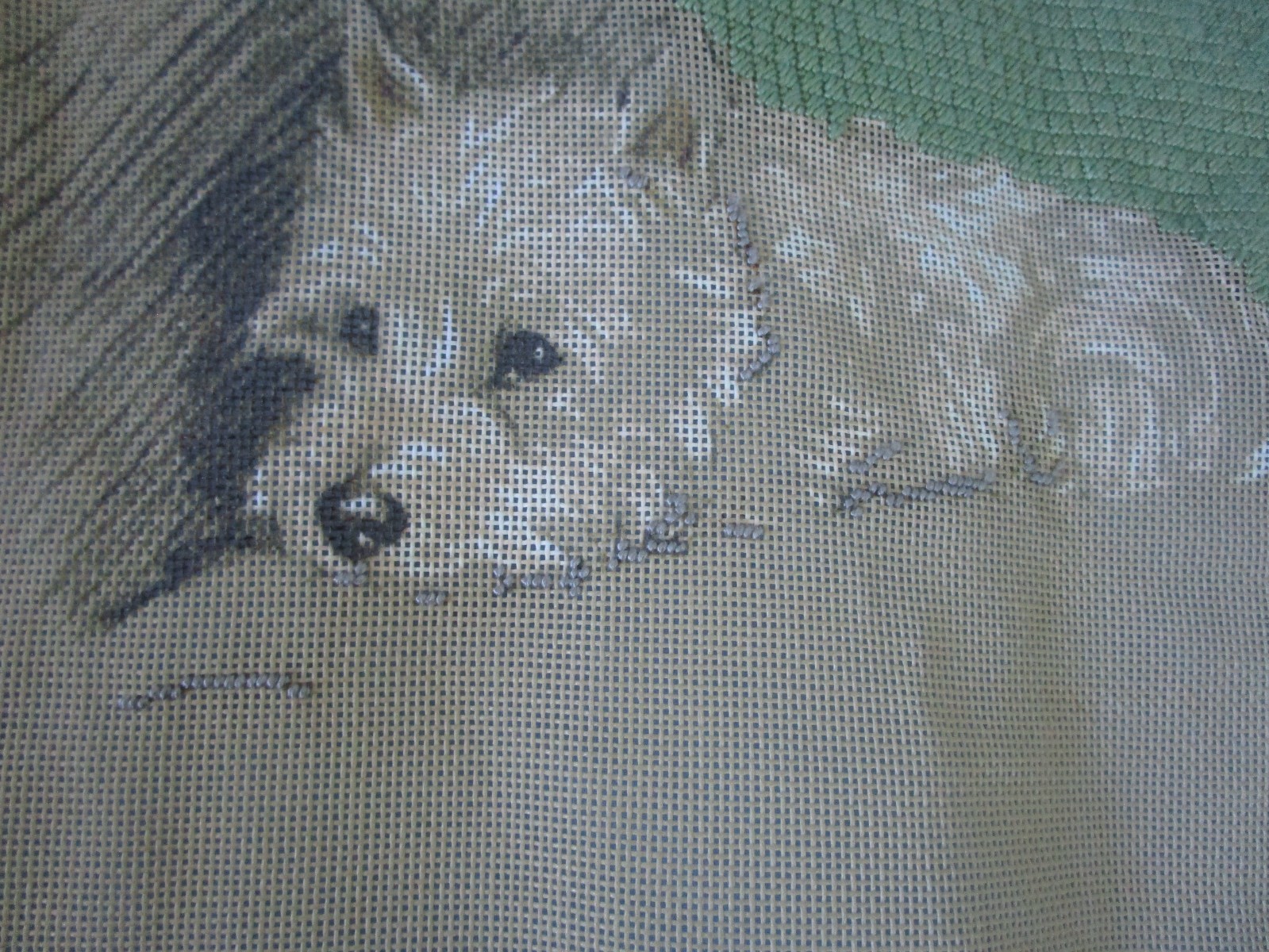 Picture 4 of 9