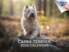 Cairn Terrier Dog Breed Calendar 2026 12x18 Made in USA