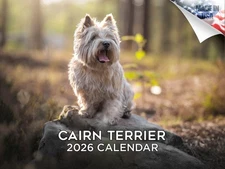 Cairn Terrier Dog Breed Calendar 2026 12x18 Made in USA