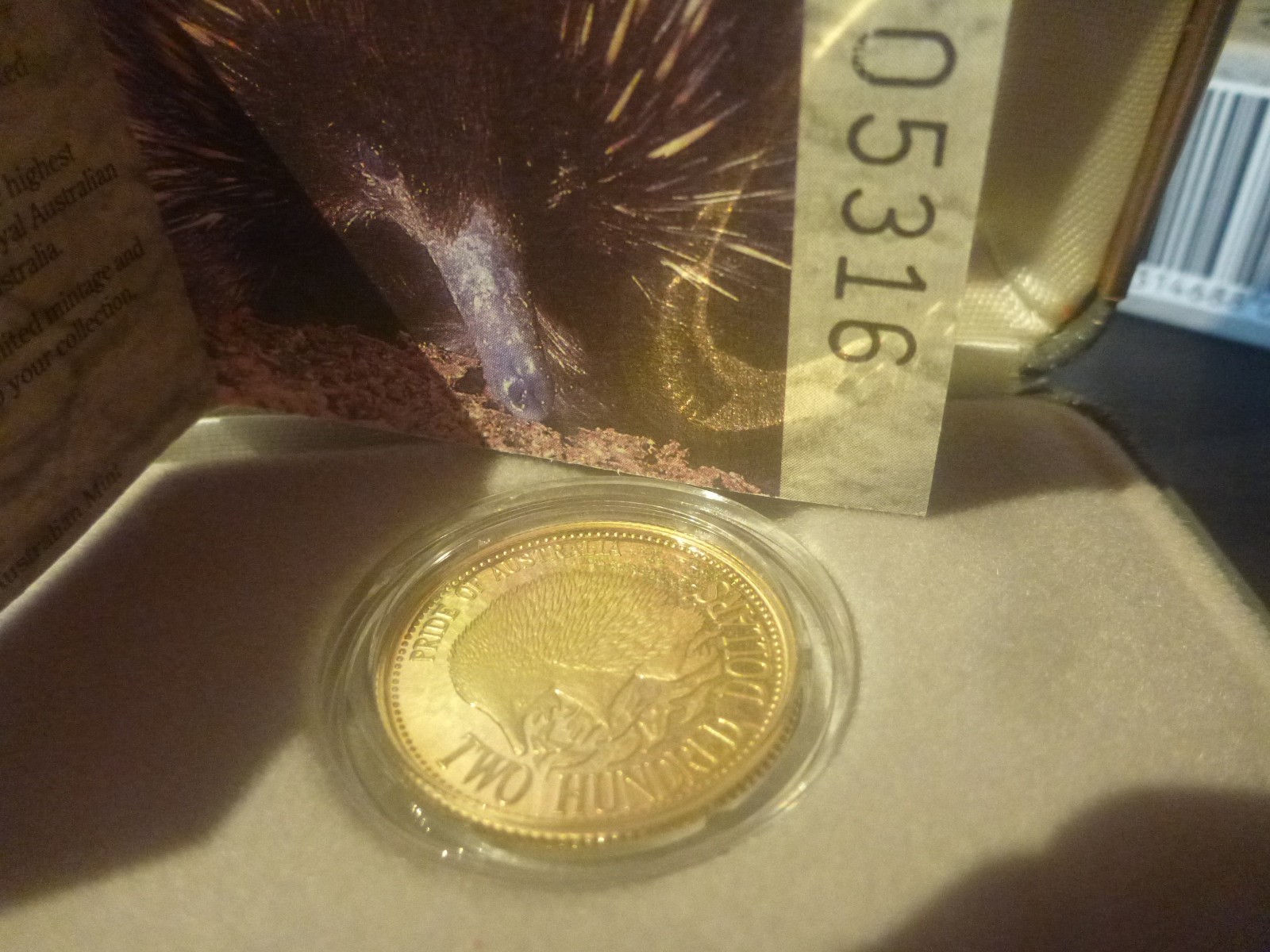Picture 6 of 6