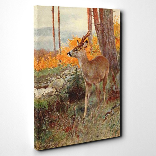 Vintage W Kuhnert Roe Deer Canvas Wall Art Print Framed Picture Dining Room - Picture 2 of 7