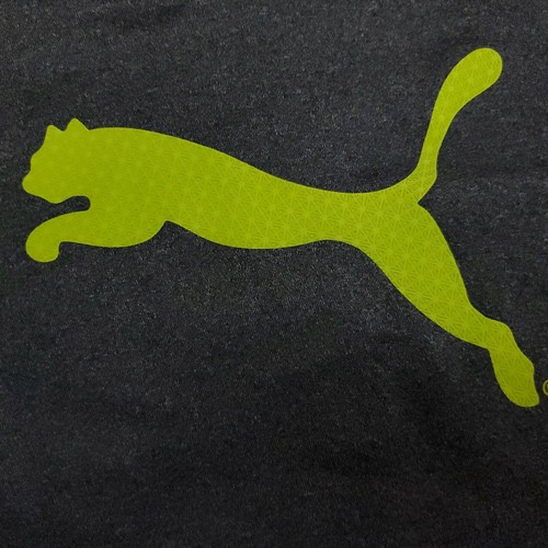 Puma Sport Lifestyle Mens M Hoodie Gray Unisex Hooded SweatShirt - 第 9/11 張圖片