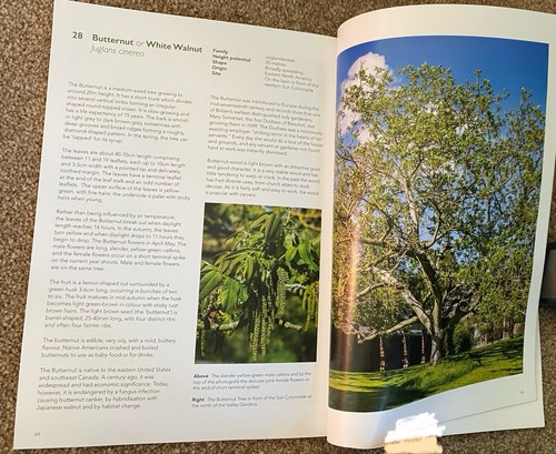 A Guide To The Trees Of Valley Gardens Harrogate Book - Picture 3 of 3