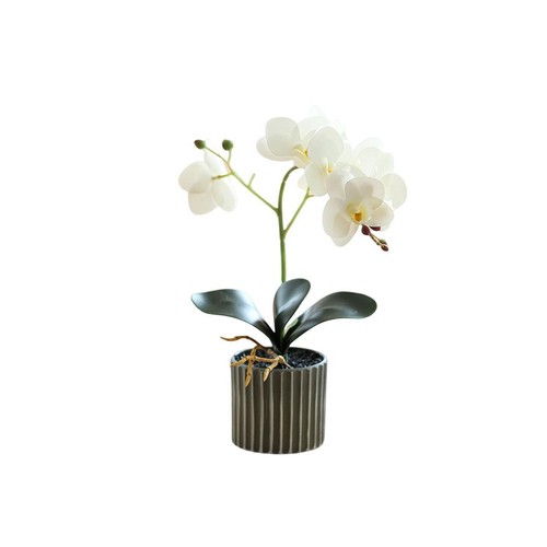 Bonsái de flores de orquídea artificial con maceta Phalaenopsis maceta oficina en casa - Imagen 14 de 28
