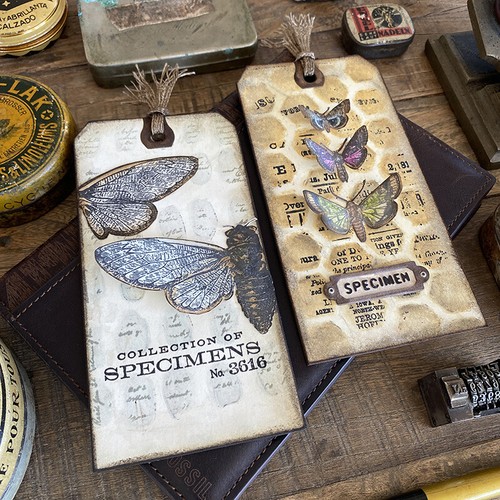 Tim Holtz® Layering Stencils by Stampers Anonymous Entire Line from 1 to 189 - Picture 256 of 318