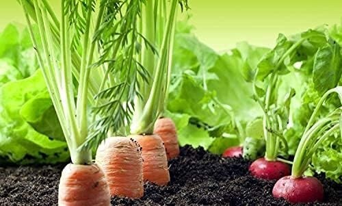 All-Purpose Compost Top Soil 50L Bag Home Garden Planting Growing Soil 50l - Picture 10 of 10
