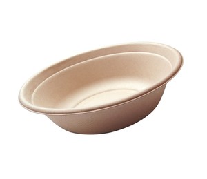 bagasse sugarcane