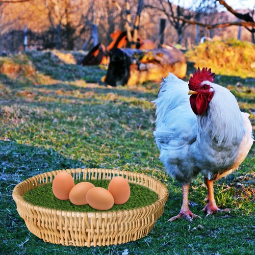 3 Pcs Chicken Nest Box Bedding Nesting Pads for Poultry Case Baby - Picture 5 of 12