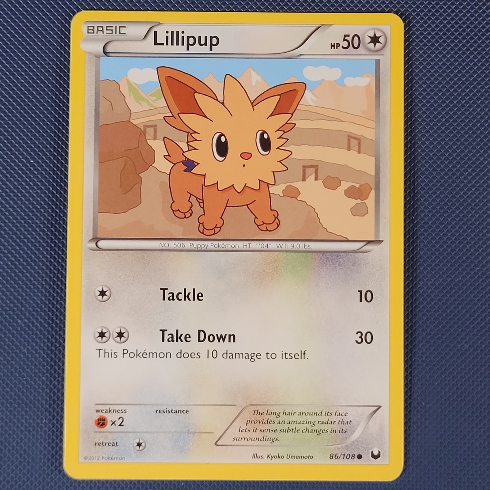 Lillipup 86/108 - Dark Explorers - Common Pokemon Card - NM