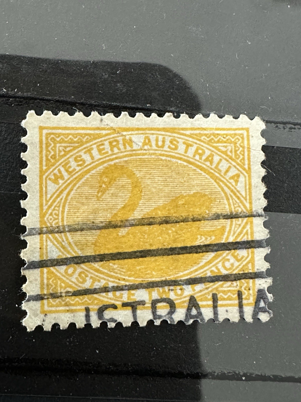 Picture 5 of 14