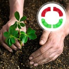 4 Pcs 90 Degree Plant Bender Plant Holder Practical Clips Twig Clamps