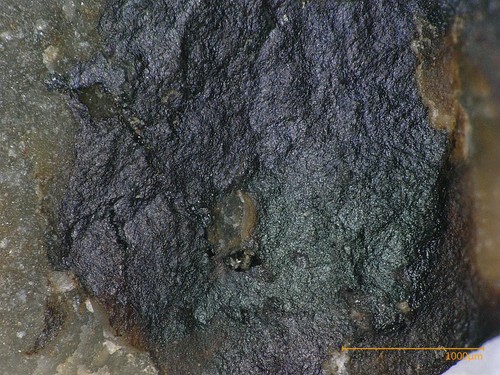 Avicennit - Tl Prospect, Lookout Pass, UT, USA - Picture 2 of 4