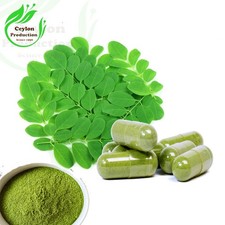Moringa Leaves Capsules(600mg) Organic Oleifera drumstick miracle tree Herb