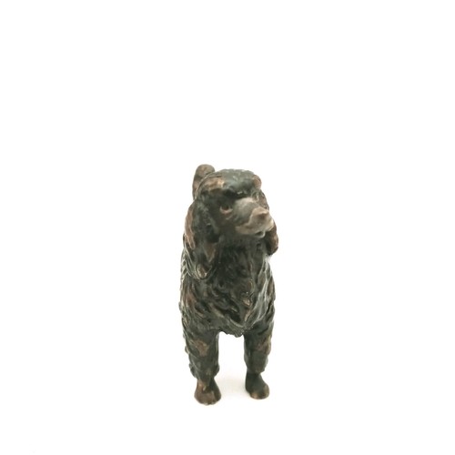 Antique Vienna Bronze Standing Poodle Franz Bergmann 2 Inches - Picture 12 of 14