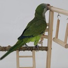 Bild 7 von 11