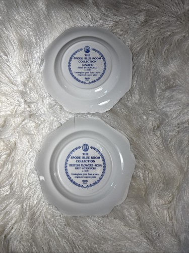 The Spode Blue Room 2tlg Teller Lot Garden Collection British Flowers, Jasmine - Bild 2 von 9