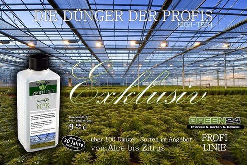 Gardenien-Dünger NPK Profi Volldünger düngen von Gardenia Arten - Flüssigdüner - Bild 3 von 5