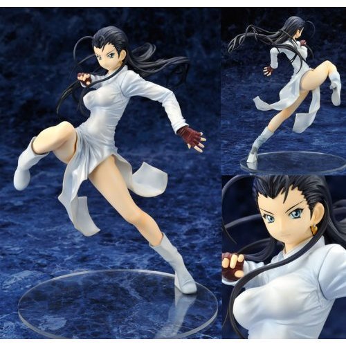 New in Box Alter Ikki Tousen GG Kakouen Myousai 1 8 PVC Figure New in Box Alter Ikki Tousen GG Kakouen Myousai 1 8 PVC Figure