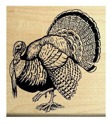 2 small turkey rubber stamps facing both directions.